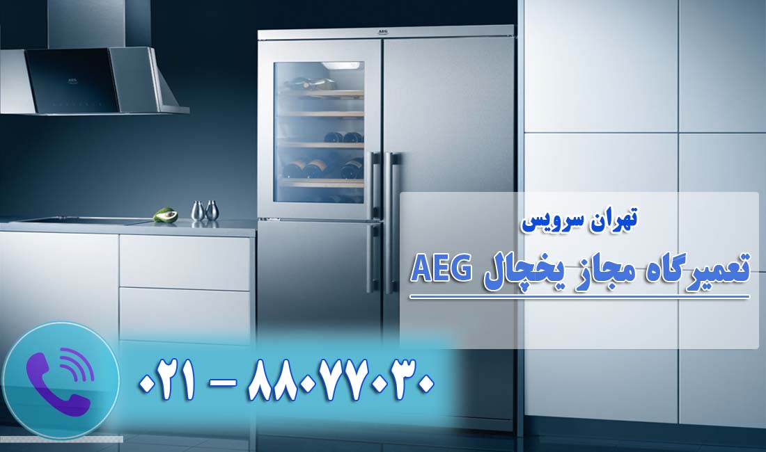 تعمیر یخچال فریزر آاگ(AEG)