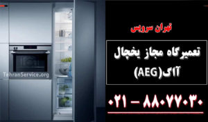 تعمیر یخچال آاگ(AEG)